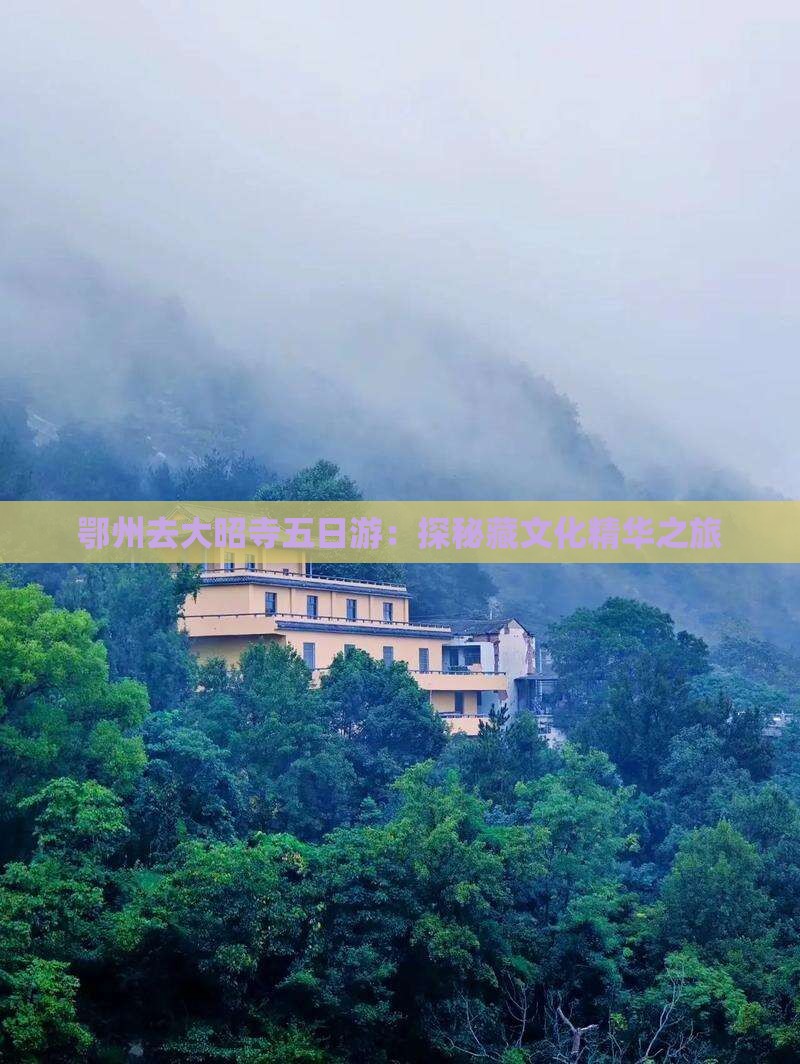鄂州去大昭寺五日游：探秘藏文化精华之旅