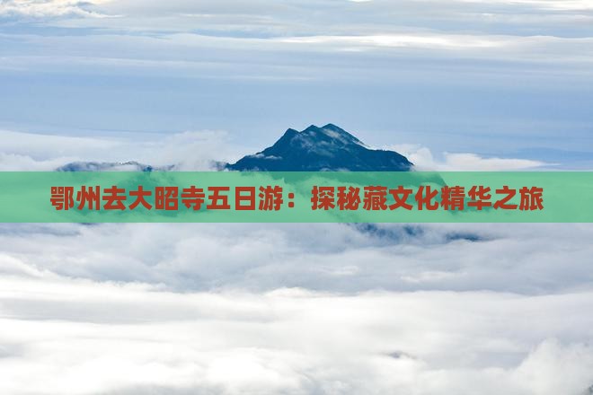 鄂州去大昭寺五日游：探秘藏文化精华之旅