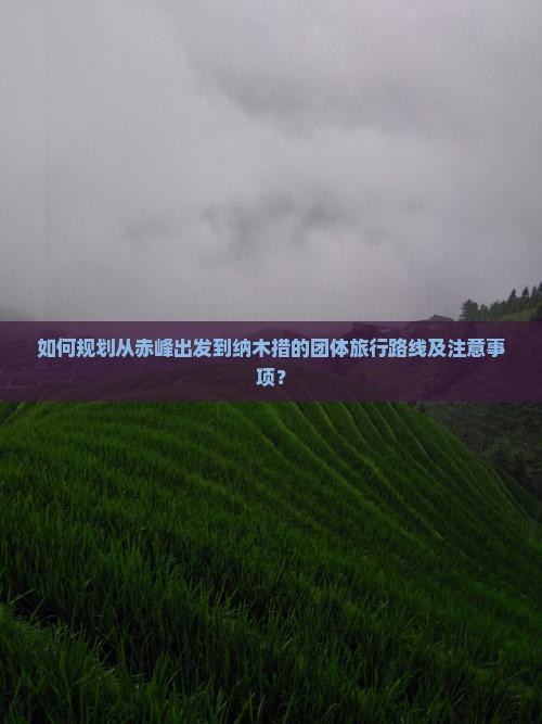 如何规划从赤峰出发到纳木措的团体旅行路线及注意事项？