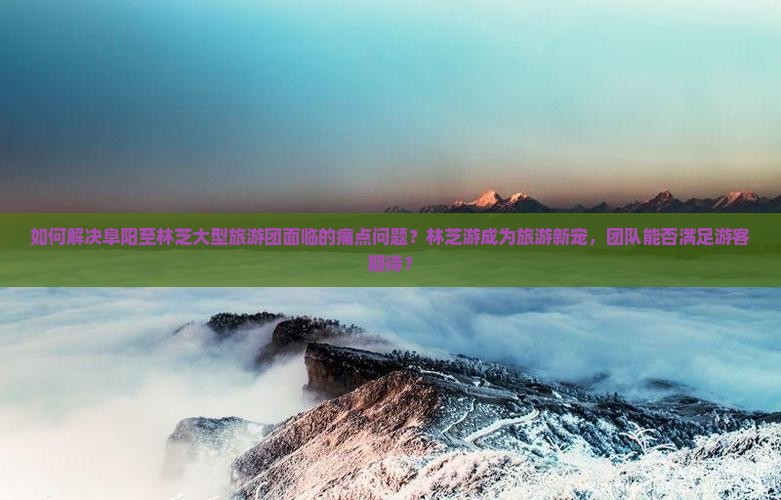 如何解决阜阳至林芝大型旅游团面临的痛点问题？林芝游成为旅游新宠，团队能否满足游客期待？