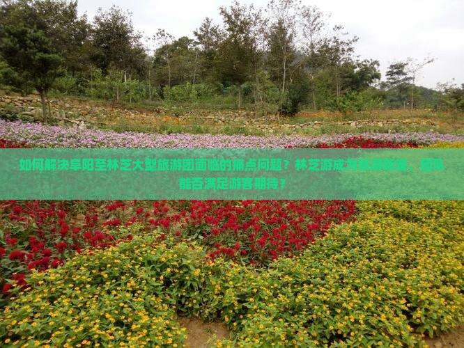 如何解决阜阳至林芝大型旅游团面临的痛点问题？林芝游成为旅游新宠，团队能否满足游客期待？