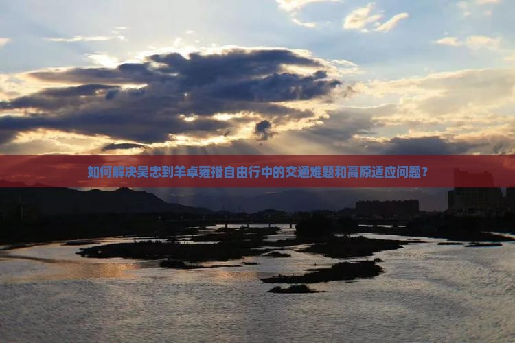 如何解决吴忠到羊卓雍措自由行中的交通难题和高原适应问题？