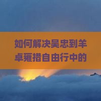 如何解决吴忠到羊卓雍措自由行中的交通难题和高原适应问题？