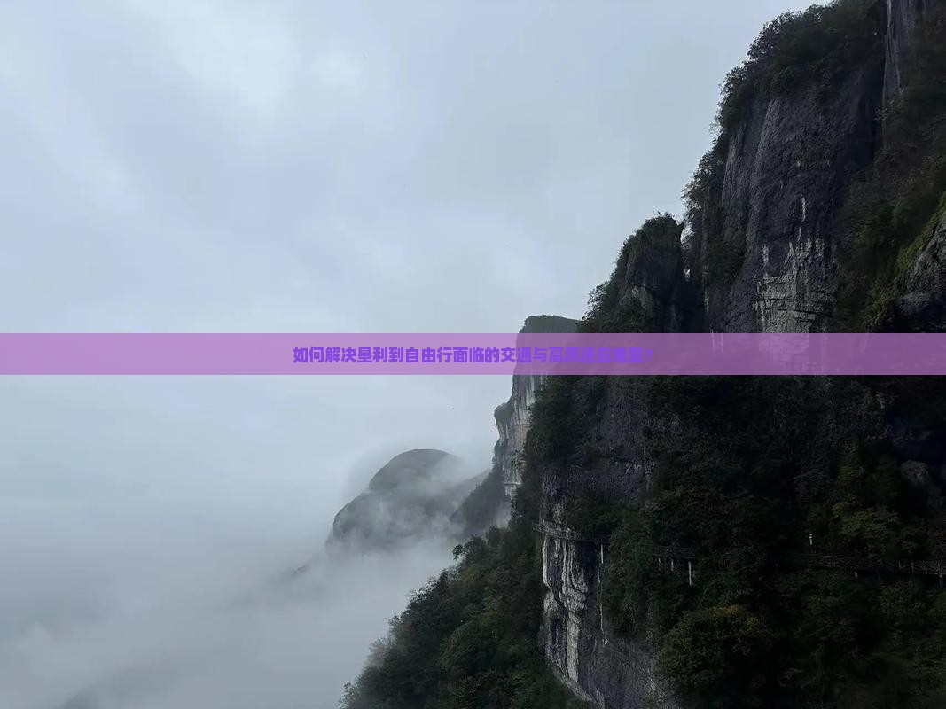 如何解决垦利到自由行面临的交通与高原适应难题? 如何解决垦利到自由行面临的交通与高原适应难题?