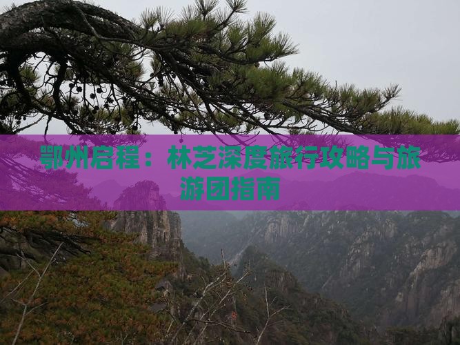 鄂州启程：林芝深度旅行攻略与旅游团指南