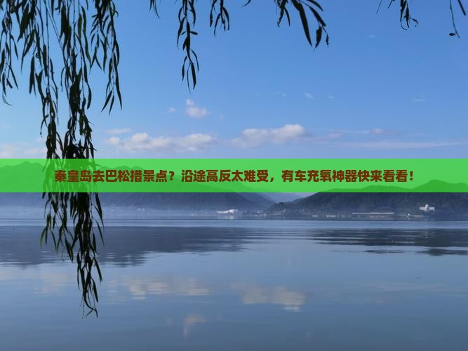 秦皇岛去巴松措景点？沿途高反太难受，有车充氧神器快来看看！