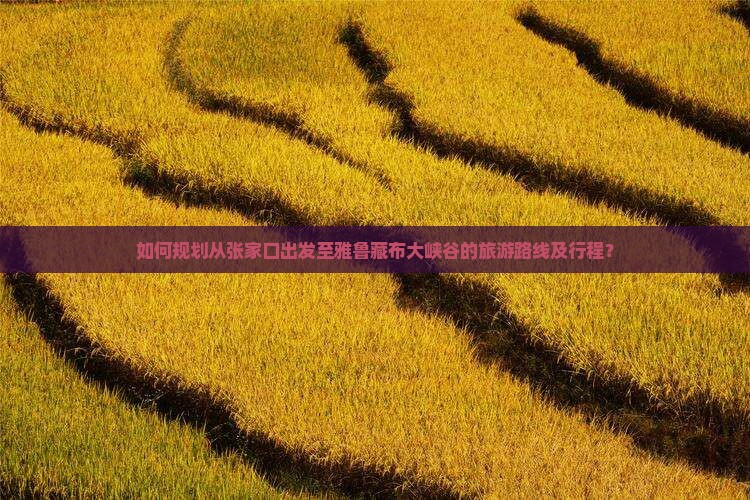 如何规划从张家口出发至雅鲁藏布大峡谷的旅游路线及行程？