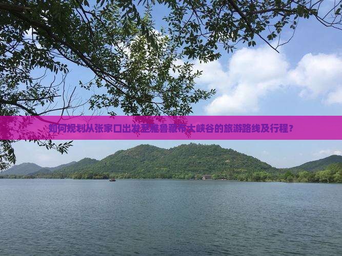 如何规划从张家口出发至雅鲁藏布大峡谷的旅游路线及行程？