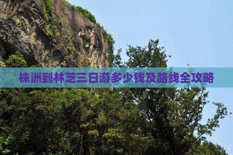 株洲到林芝三日游多少钱及路线全攻略