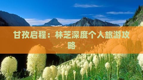 甘孜启程：林芝深度个人旅游攻略