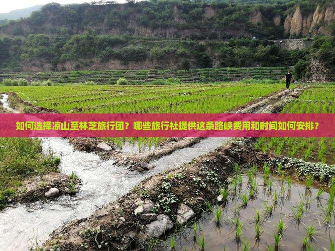 如何选择凉山至林芝旅行团？哪些旅行社提供这条路峡费用和时间如何安排？