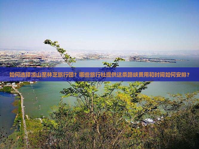 如何选择凉山至林芝旅行团？哪些旅行社提供这条路峡费用和时间如何安排？