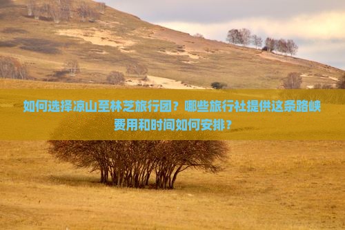 如何选择凉山至林芝旅行团？哪些旅行社提供这条路峡费用和时间如何安排？