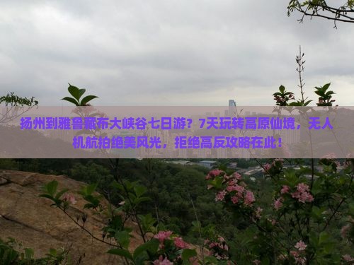 扬州到雅鲁藏布大峡谷七日游？7天玩转高原仙境，无人机航拍绝美风光，拒绝高反攻略在此！