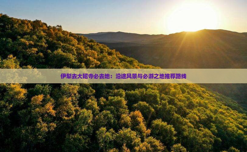 伊犁去大昭寺必去地：沿途风景与必游之地推荐路线