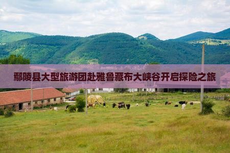 鄢陵县大型旅游团赴雅鲁藏布大峡谷开启探险之旅