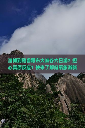 淄博到雅鲁藏布大峡谷六日游？担心高原反应？快来了解低氧旅游新方式！