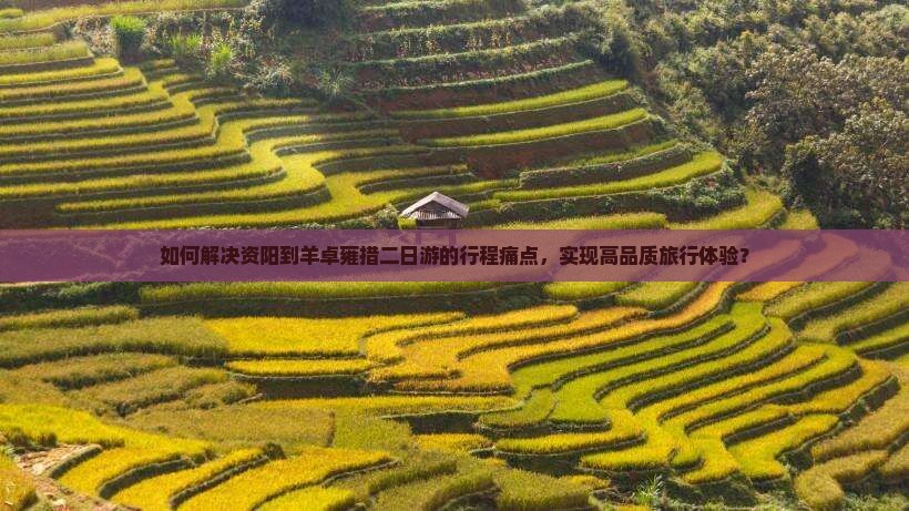 如何解决资阳到羊卓雍措二日游的行程痛点，实现高品质旅行体验？