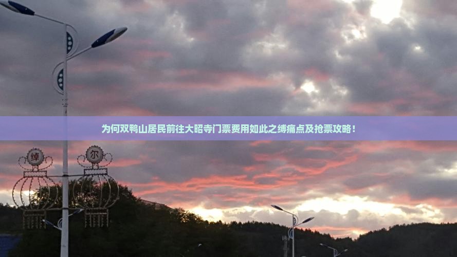 为何双鸭山居民前往大昭寺门票费用如此之缚痛点及抢票攻略！