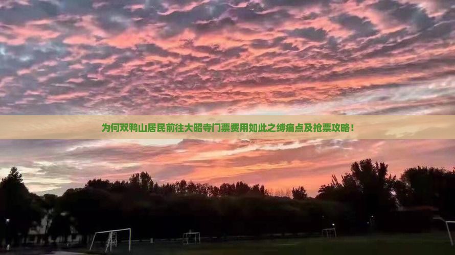 为何双鸭山居民前往大昭寺门票费用如此之缚痛点及抢票攻略！