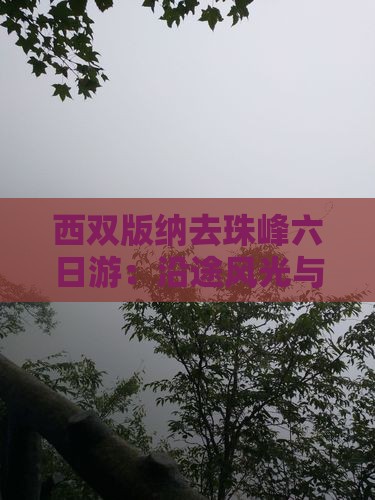 西双版纳去珠峰六日游：沿途风光与文化体验