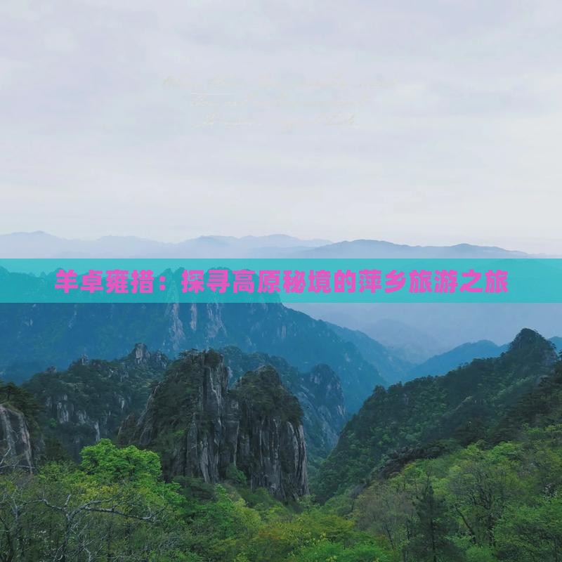 羊卓雍措：探寻高原秘境的萍乡旅游之旅