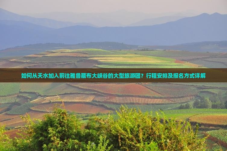 如何从天水加入前往雅鲁藏布大峡谷的大型旅游团？行程安排及报名方式详解