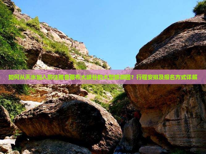 如何从天水加入前往雅鲁藏布大峡谷的大型旅游团？行程安排及报名方式详解