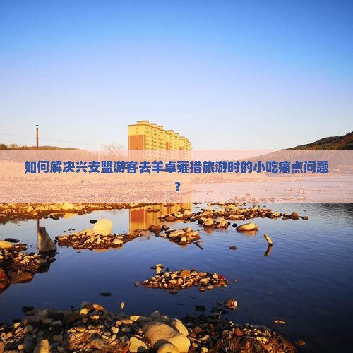 如何解决兴安盟游客去羊卓雍措旅游时的小吃痛点问题？