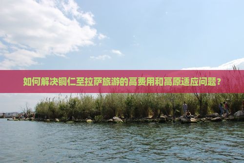 如何解决铜仁至拉萨旅游的高费用和高原适应问题？