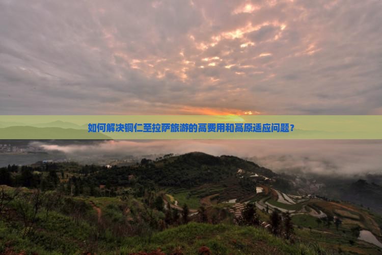 如何解决铜仁至拉萨旅游的高费用和高原适应问题？