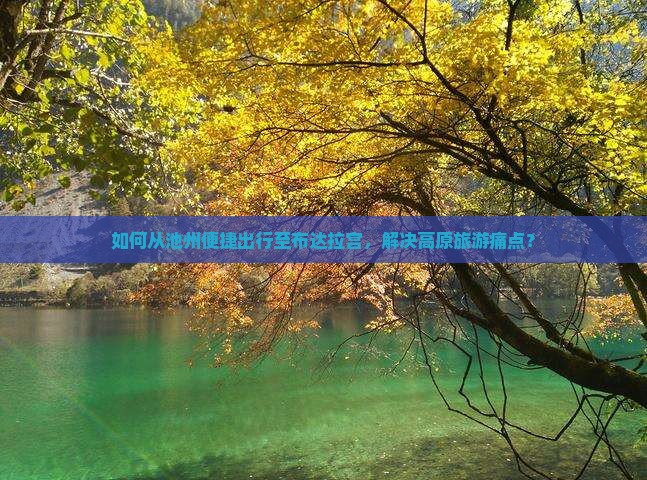 如何从池州便捷出行至布达拉宫，解决高原旅游痛点？