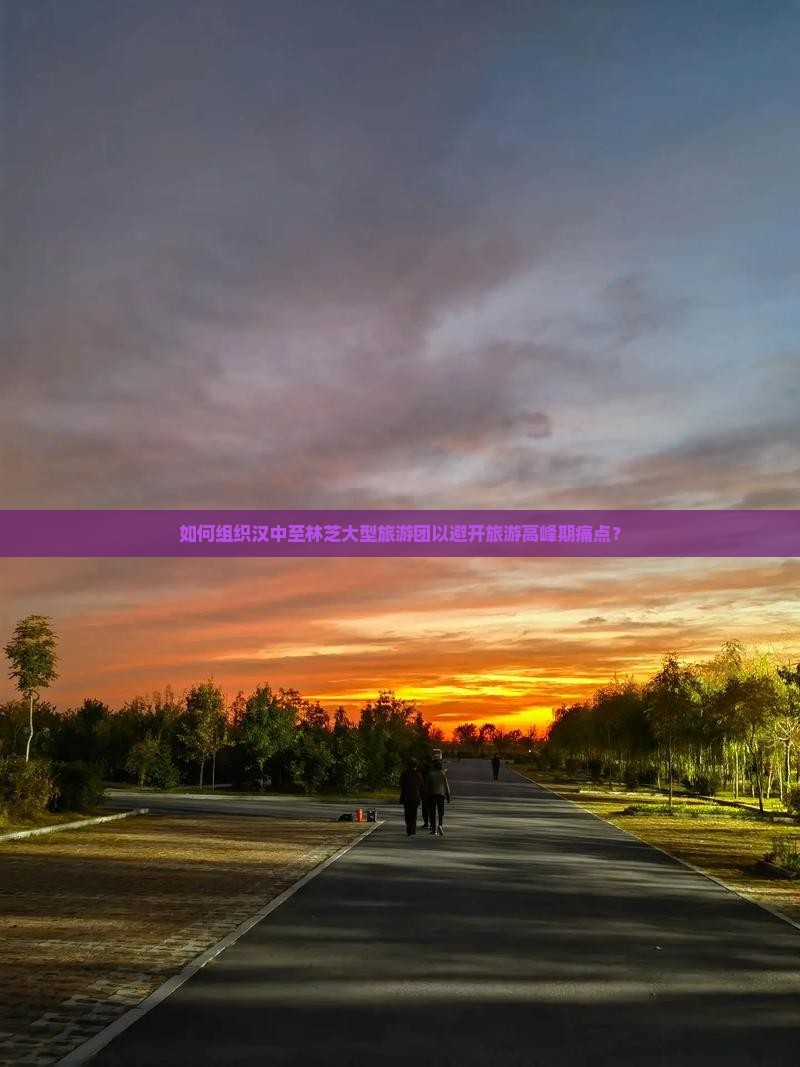 如何组织汉中至林芝大型旅游团以避开旅游高峰期痛点？