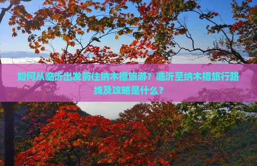 如何从临沂出发前往纳木措旅游？临沂至纳木措旅行路线及攻略是什么？