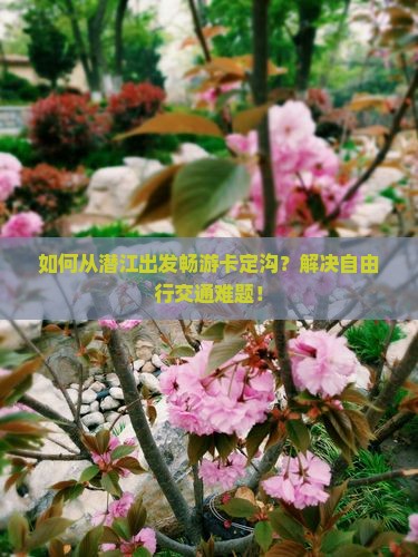 如何从潜江出发畅游卡定沟？解决自由行交通难题！