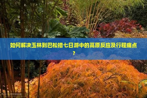 如何解决玉林到巴松措七日游中的高原反应及行程痛点？