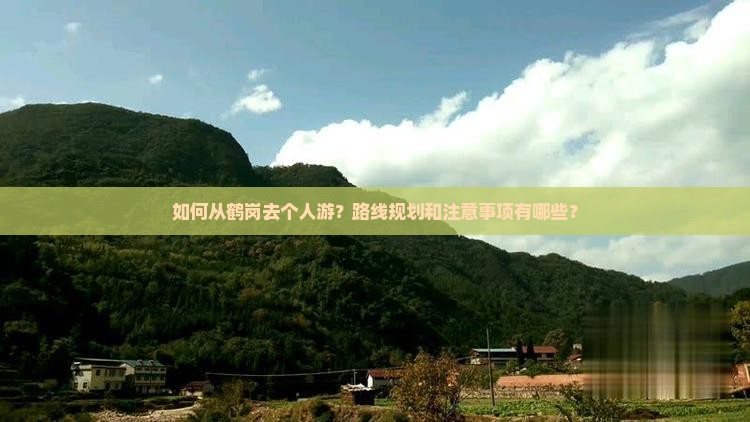 如何从鹤岗去个人游？路线规划和注意事项有哪些？