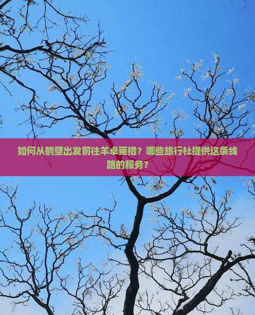 如何从鹤壁出发前往羊卓雍措？哪些旅行社提供这条线路的服务？