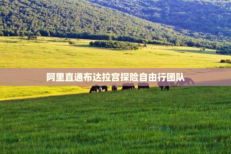 阿里直通布达拉宫探险自由行团队