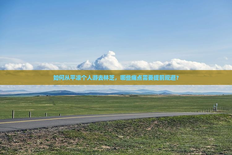 如何从平凉个人游去林芝，哪些痛点需要提前规避？