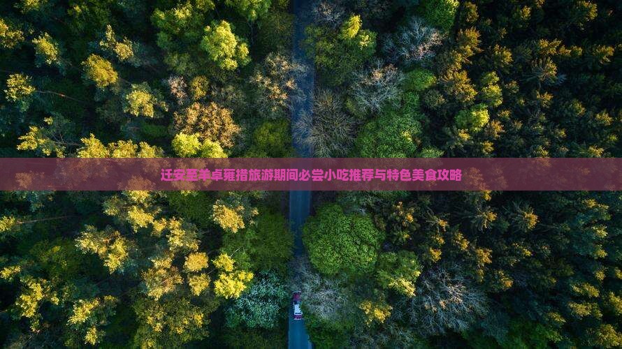 迁安至羊卓雍措旅游期间必尝小吃推荐与特色美食攻略