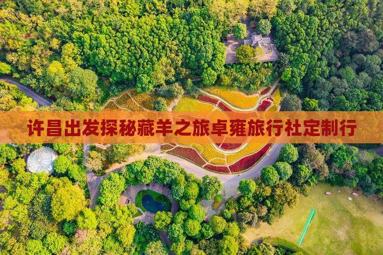许昌出发探秘藏羊之旅卓雍旅行社定制行