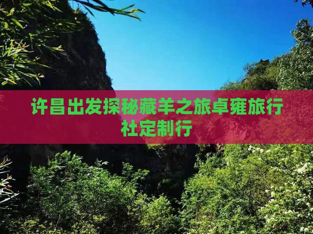许昌出发探秘藏羊之旅卓雍旅行社定制行