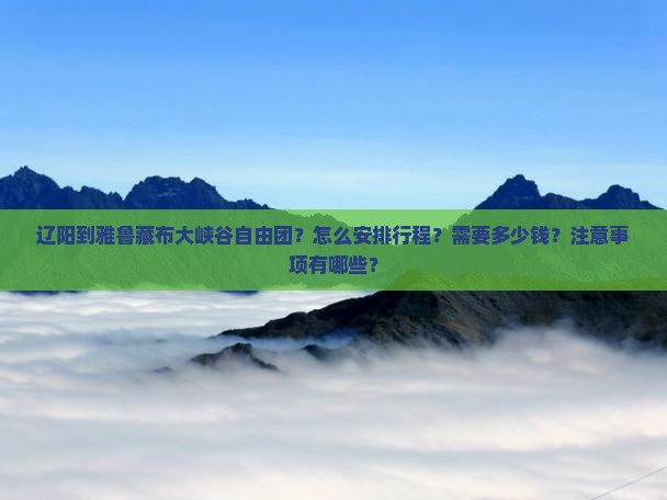 辽阳到雅鲁藏布大峡谷自由团？怎么安排行程？需要多少钱？注意事项有哪些？
