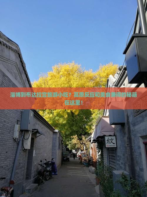 淄博到布达拉宫旅游小吃？高原反应和美食兼得的秘籍在这里！