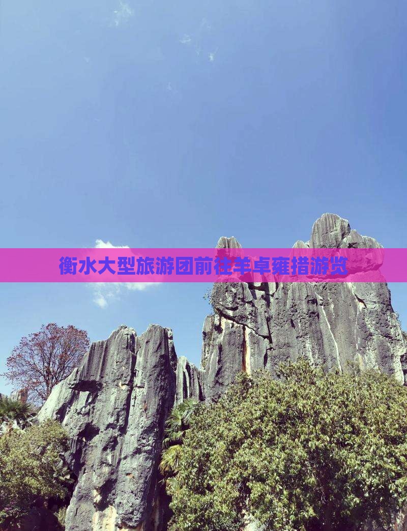 衡水大型旅游团前往羊卓雍措游览