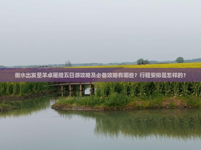 衡水出发至羊卓雍措五日游攻略及必备攻略有哪些？行程安排是怎样的？