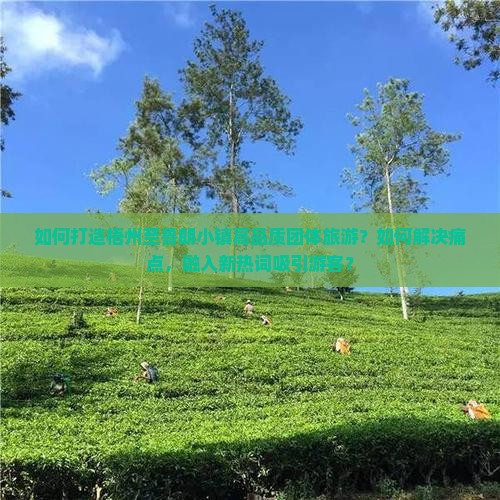 如何打造梧州至鲁朗小镇高品质团体旅游？如何解决痛点，融入新热词吸引游客？
