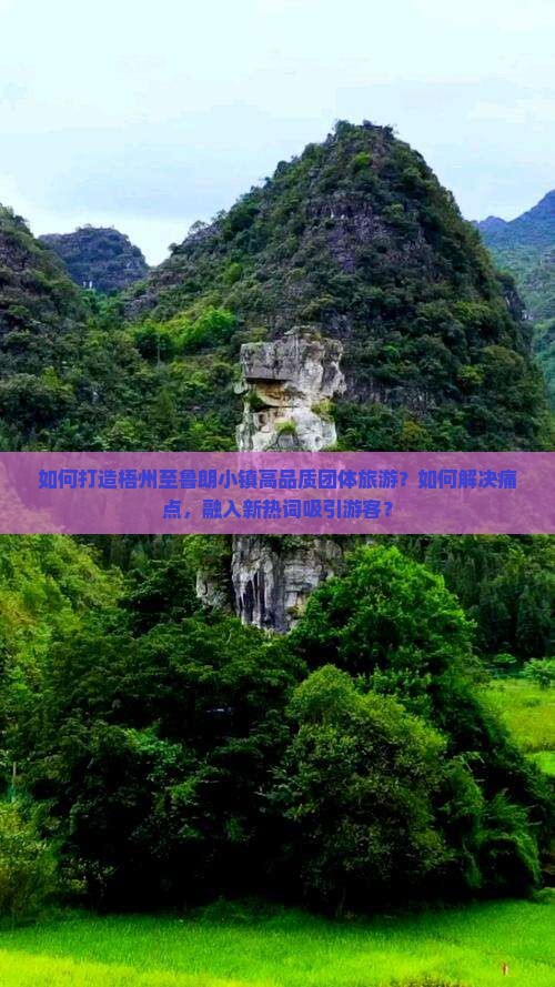 如何打造梧州至鲁朗小镇高品质团体旅游？如何解决痛点，融入新热词吸引游客？