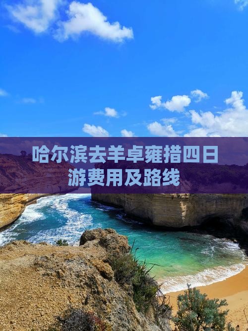 哈尔滨去羊卓雍措四日游费用及路线